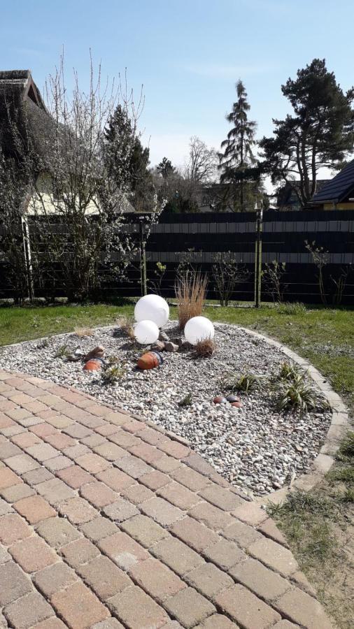 Ferienwohnung Born Am Darsswald Eg Esterno foto